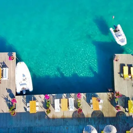 Moonlight Boutique - *