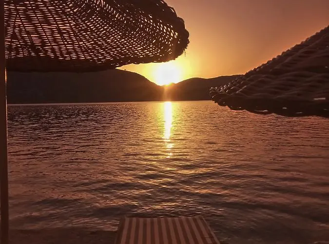 Moonlight Boutique -